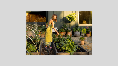 Outdoor Gardening