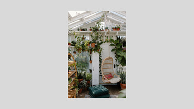 Indoor Gardening